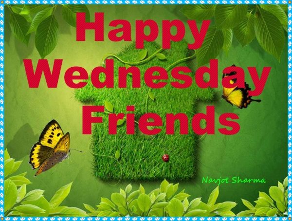 Happy Wednesday Friends