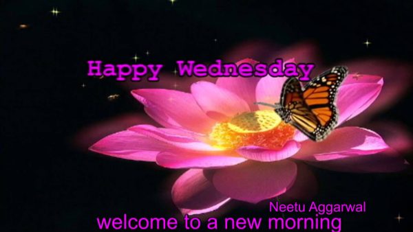 Happy Wednesday Welcome To A New Morning
