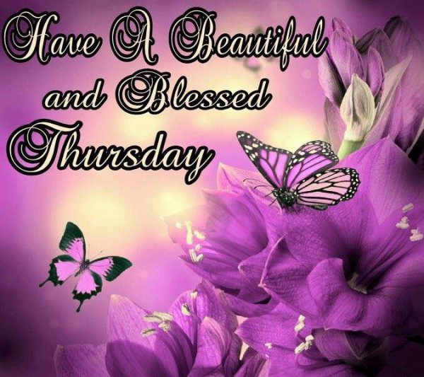 Have A Beautiful And Blessed Thursday