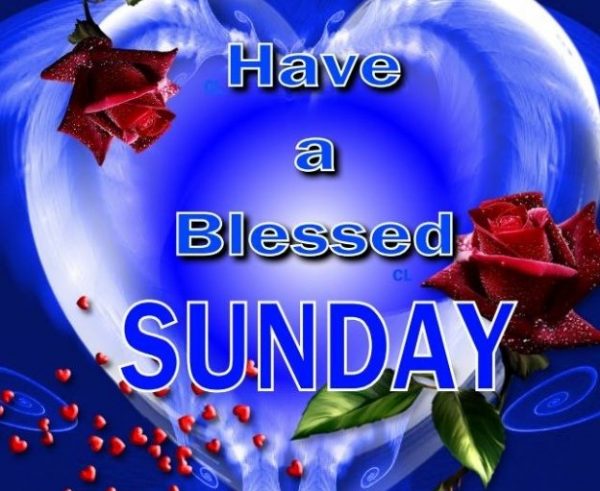 Have A Blessed Day !!!