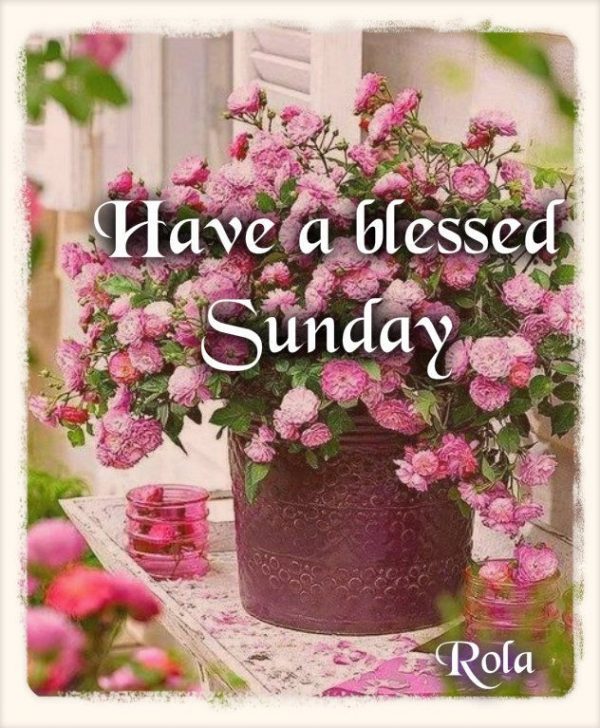 Have A Blessed Sunday !!!