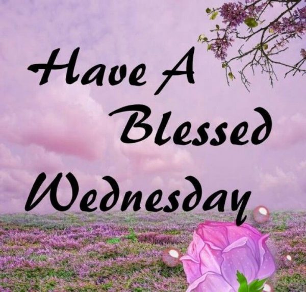 Have A Blessed Wednesday