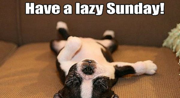 Have A Lazy Sunday