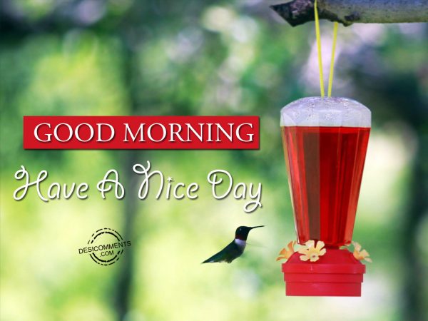 Have A Nice Day... Good Morning