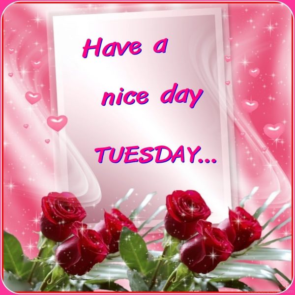 Have A Nice Tuesday !