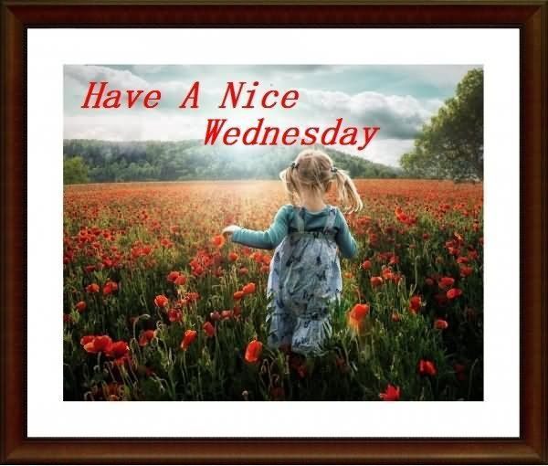 Have A Nice Wednesday !
