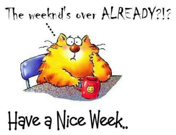 Have A Nice Week