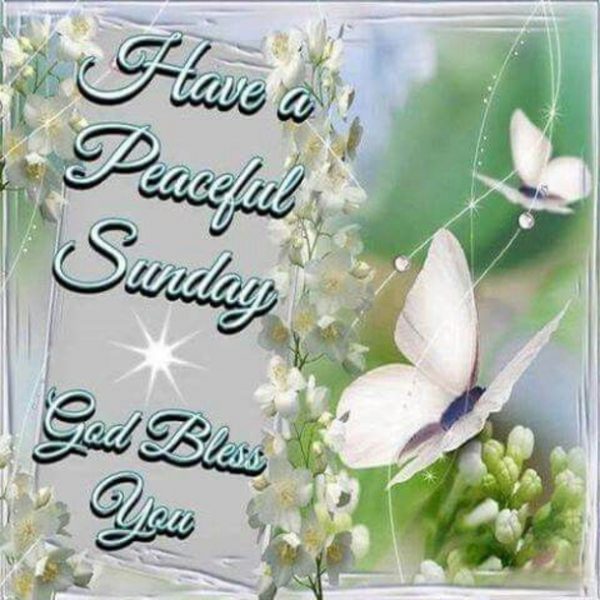 Have A Peaceful Sunday God Bless You