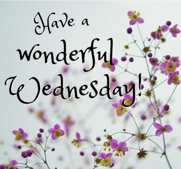 Have A Wonderful Wednesday