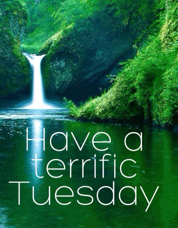 Have a terrific tuesday