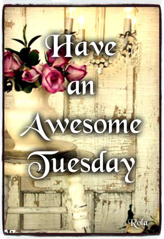 Have an awesome tuesday