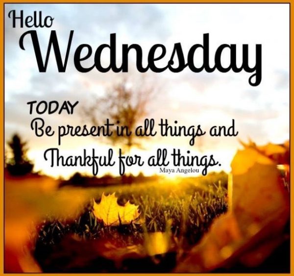 Hello Wednesday