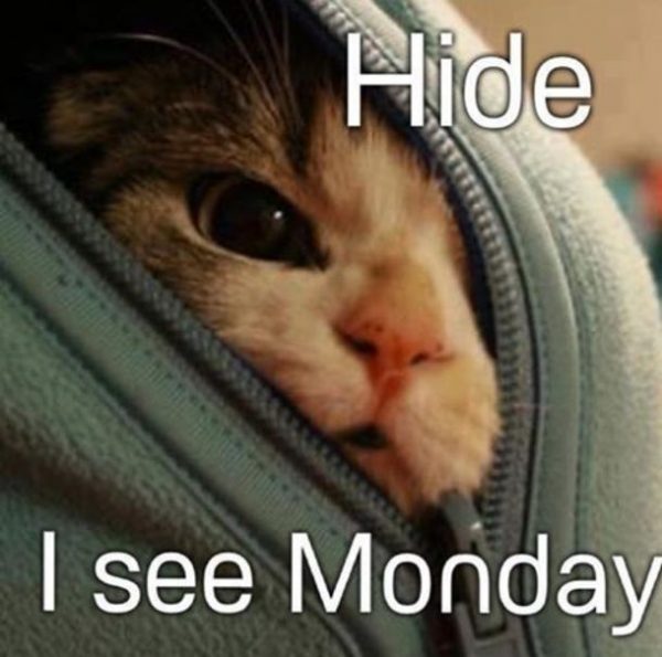 Hide i see monday