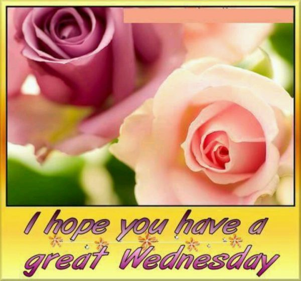 I Hope You Have A Great Wednesday