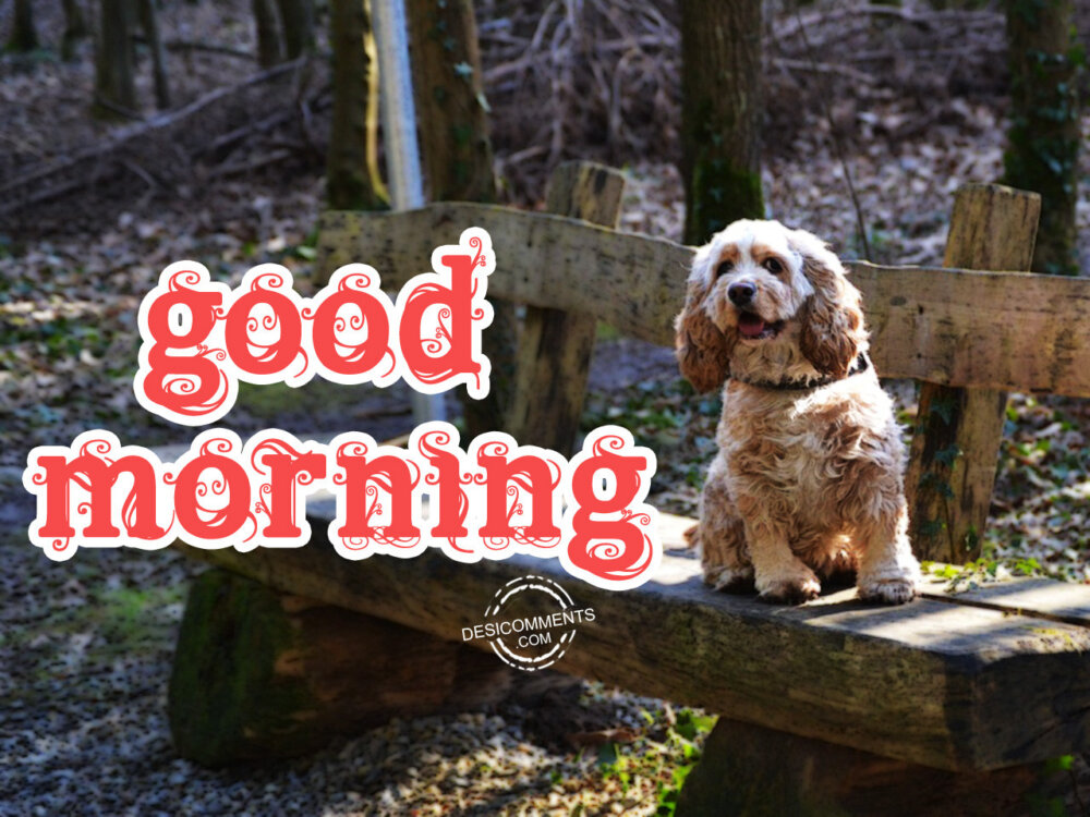Image Of Good Morning - DesiComments.com