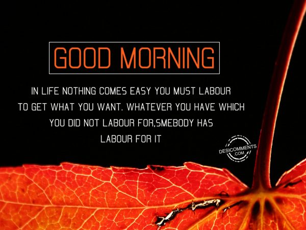 In Life Nothing Comes Easy You Must Labour To Get Want