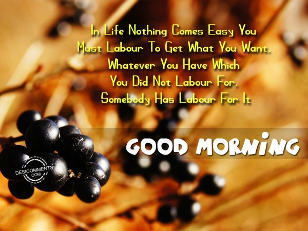 In Life Nothing Comes Easy You Must Labour To Get What You Want Good Morning