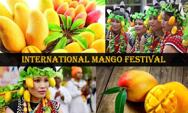 International Mango Festival !