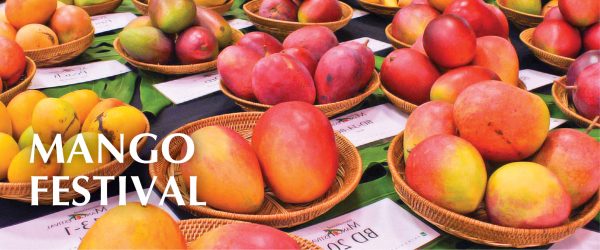 International Mango Festival