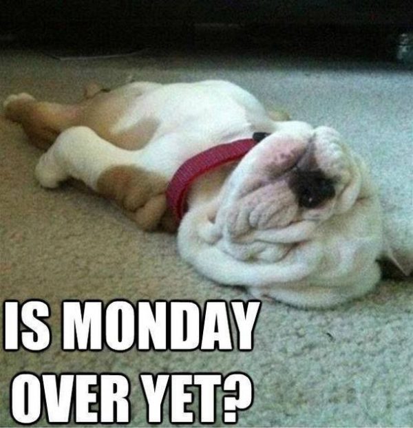 Is monday over yet