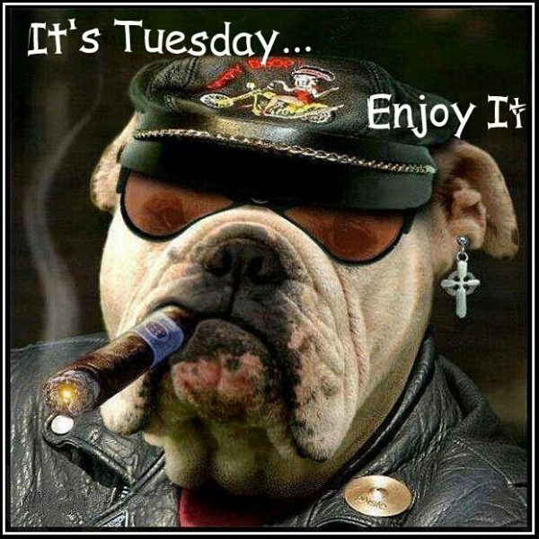 It’s Tuesday Enjoy It