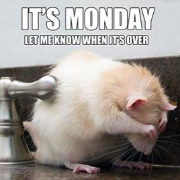 Its monday let me know when its over