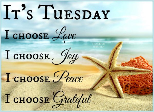 It's tuesday i choose love