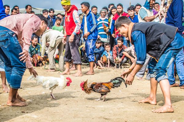 Jonbeel Mela Photo