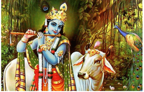 Karishna Lord Image