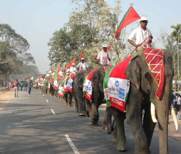 Kaziranga Elephant Festival Image