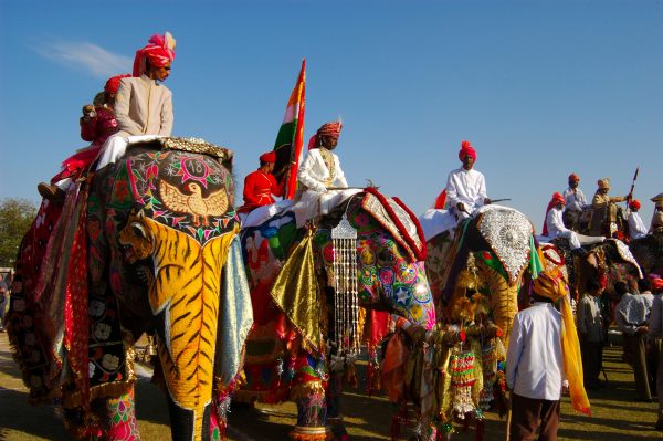 Kaziranga Elephant Festival