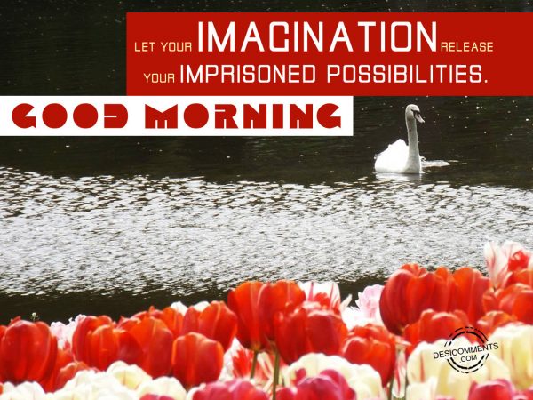 Let Your imagination Release Your Imprisoned Possibilities