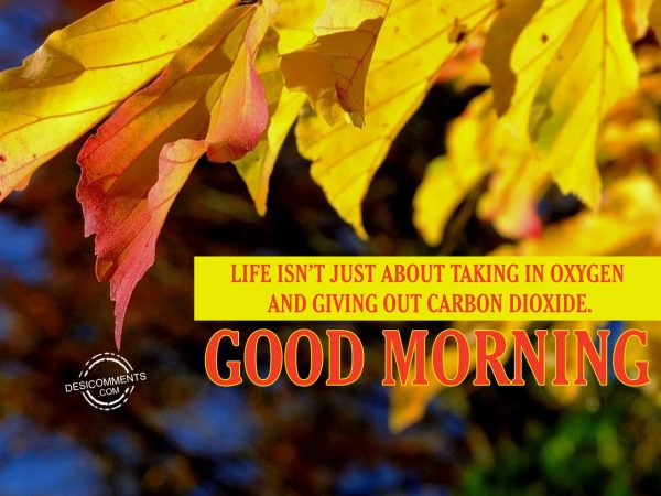 Life Is Not Just About Taking In Oxygen And Giving Out Carbon Dioxide