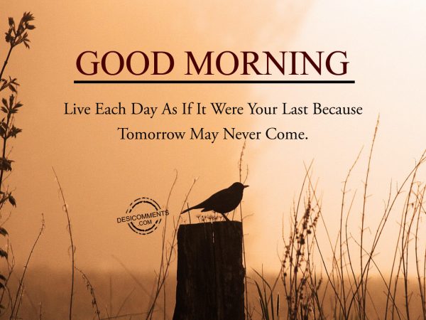 Live Each Day As If It Were Your Last Because Tommorrow May Never Come.