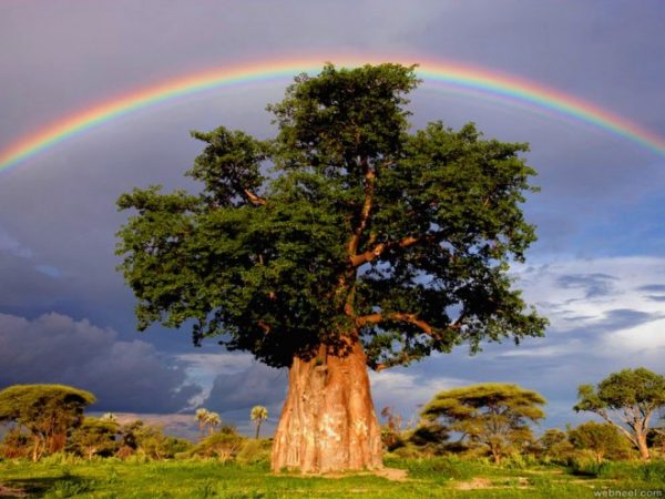 Lovely Photo Of Rainbow