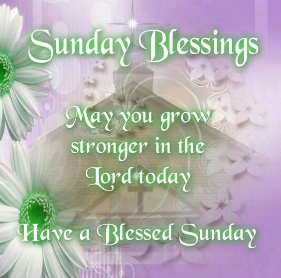 May You Grow Stronger In The Lord Today