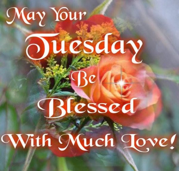 May Your Tuesday Be Blessed With Much Love