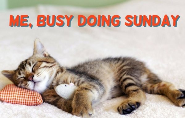 Me Busy Doing Sunday