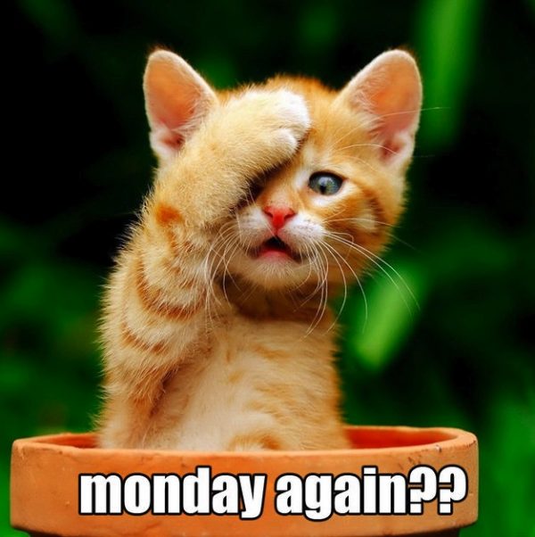 Monday again !