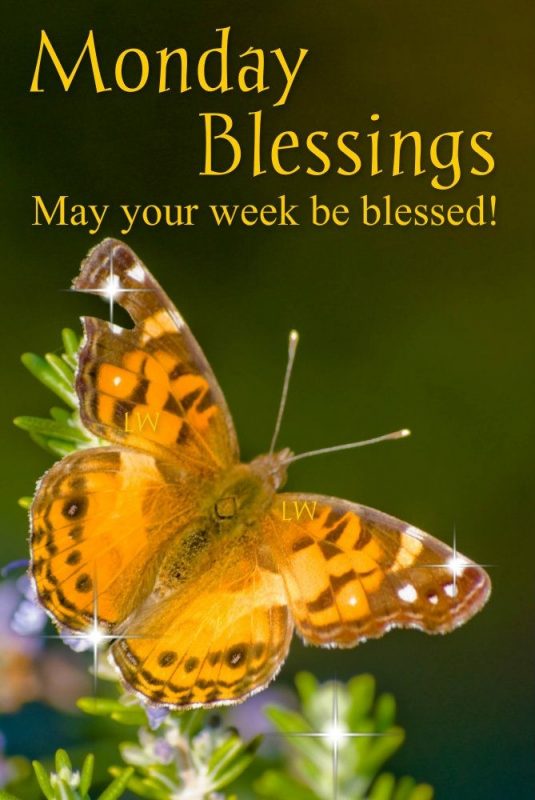 Monday blessings