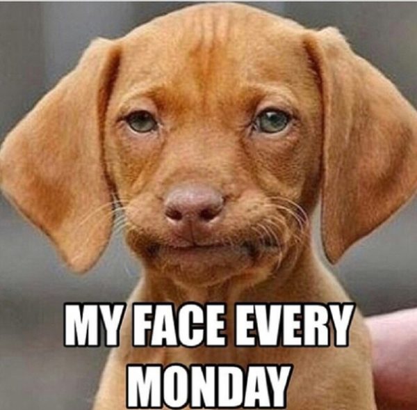My face every monday