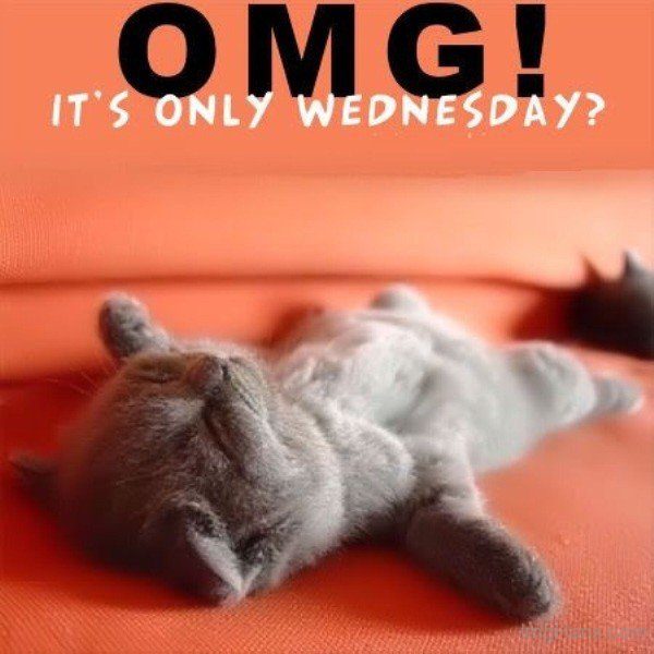 Omgâ€™s Only Wednesday