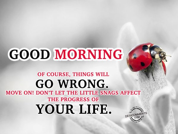 OF Course Things Will Go Wrong Move On Do not Let The Little Snags Affect The Progress Of Your Life.