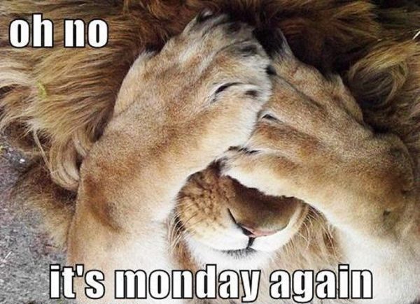 Oh No Its Monday Again