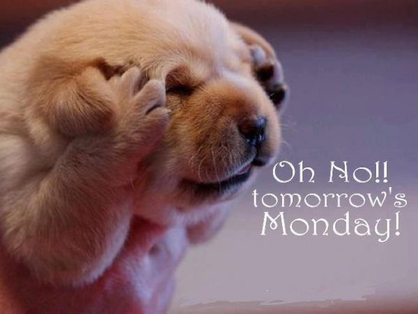 Oh No Tomorrow Mondays