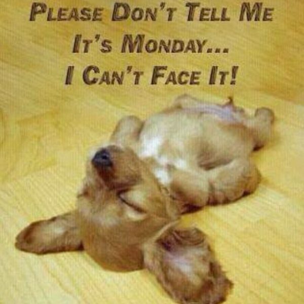 Please Dont Tell Me Its Monday