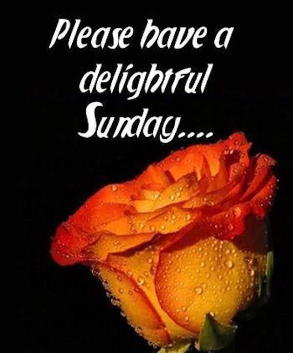 Please Have A Delightful Sunday