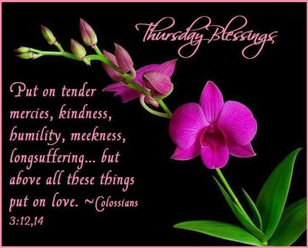 Put On Tender Mercies Kindness