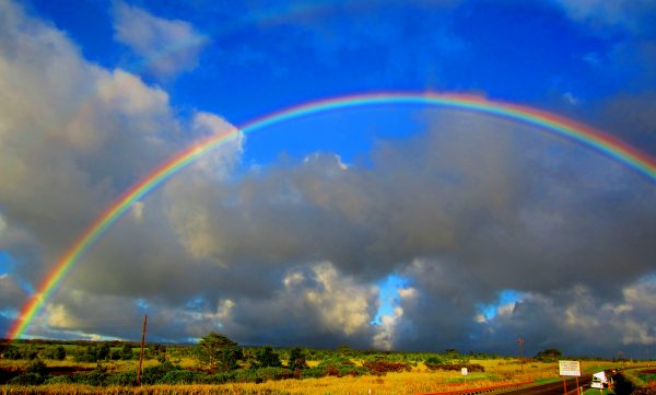 Rainbow - Image