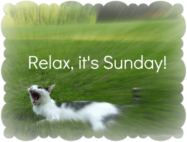 Relax It’s Sunday